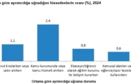 Hizmetlere Erişim ve Ayrımcılık - 2024